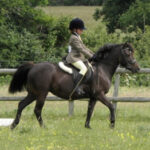 Pony-Saddle-Young-Rider