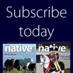 www.thenativepony.com