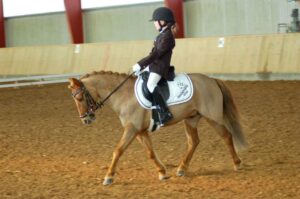 Mie and Icelandic cross, Prins competing at dressage in their Pony Saddle Company Tavy First Saddle, native Pony Fit.