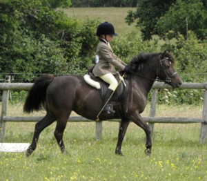 Pony-Saddle-Young-Rider